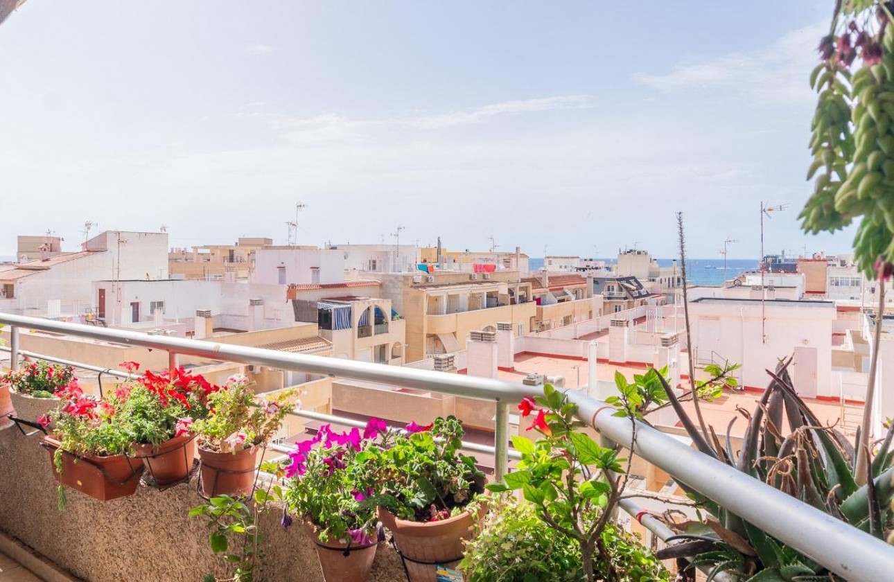 Revente - Appartement - Torrevieja - Centro