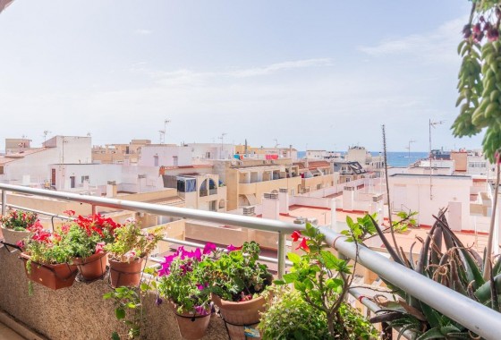 Revente - Appartement - Torrevieja - Centro