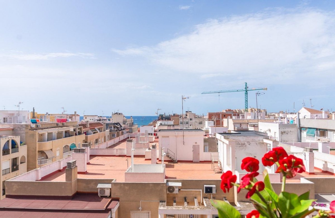 Revente - Appartement - Torrevieja - Centro