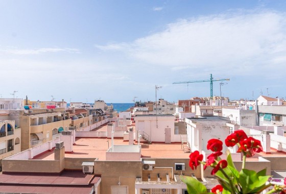Revente - Appartement - Torrevieja - Centro
