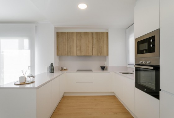 Nouvelle construction - Attique - Torrevieja - Torreblanca