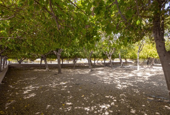 Revente - Bungalow - Torrevieja - Playa de los Naufragos