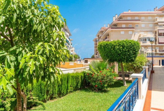 Long Term Rental - Apartment / flat - Torrevieja - La Mata