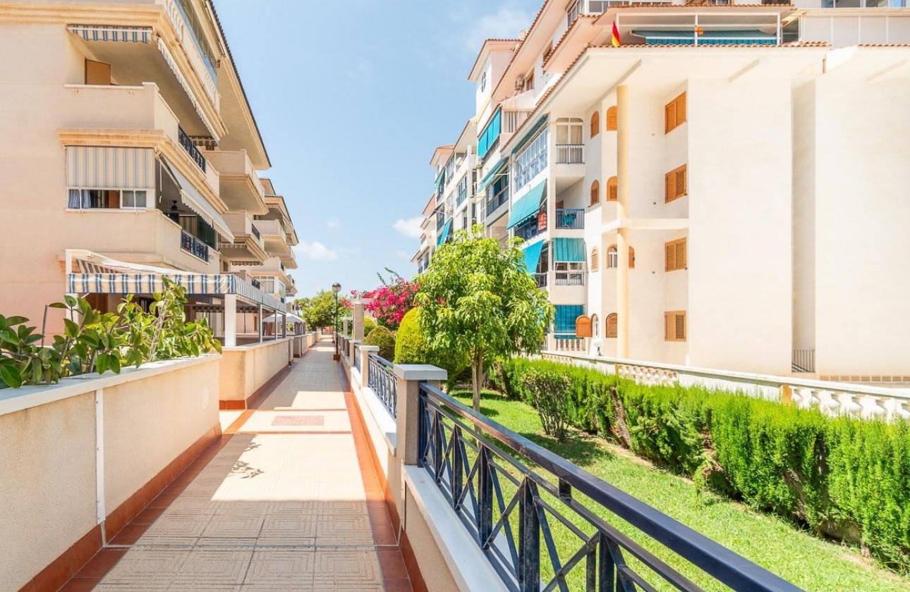 Long Term Rental - Apartment / flat - Torrevieja - La Mata