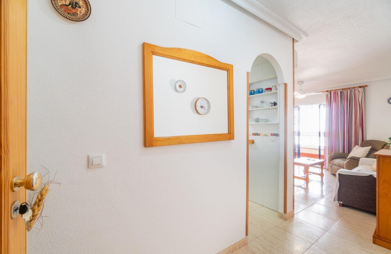 Long Term Rental - Apartment / flat - Torrevieja - La Mata