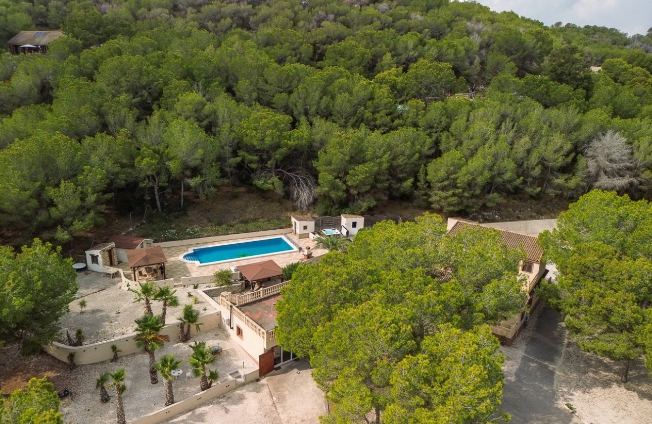 Revente - Country Property/Finca - Torremendo