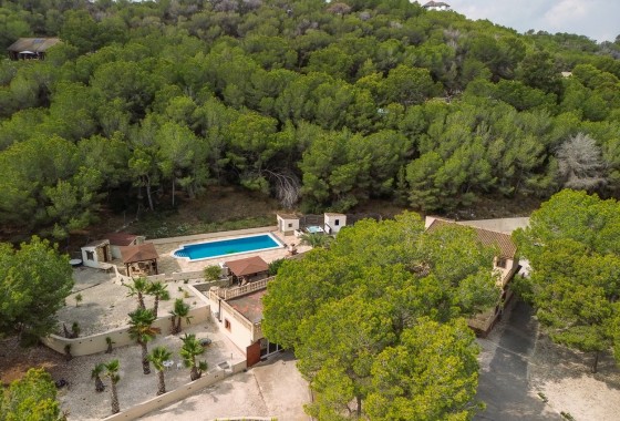 Revente - Country Property/Finca - Torremendo
