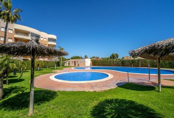 Reventa - Apartamento / piso - Dehesa de campoamor - Campoamor