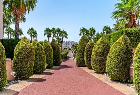 Reventa - Apartamento / piso - Orihuela Costa - Playa Flamenca