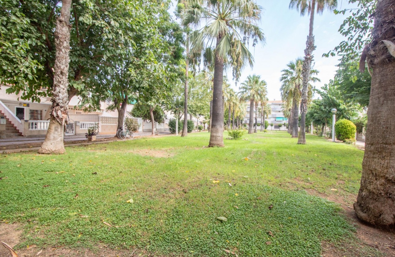Reventa - Apartamento / piso - Orihuela Costa - La Regia
