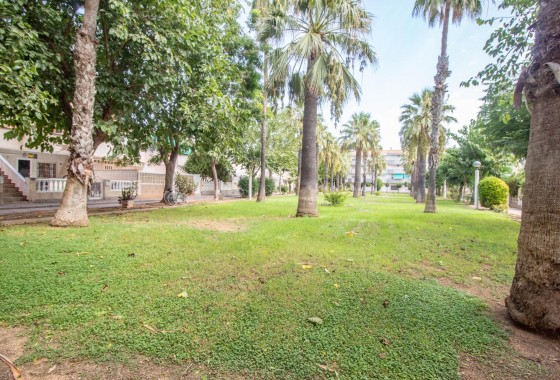 Reventa - Apartamento / piso - Orihuela Costa - La Regia