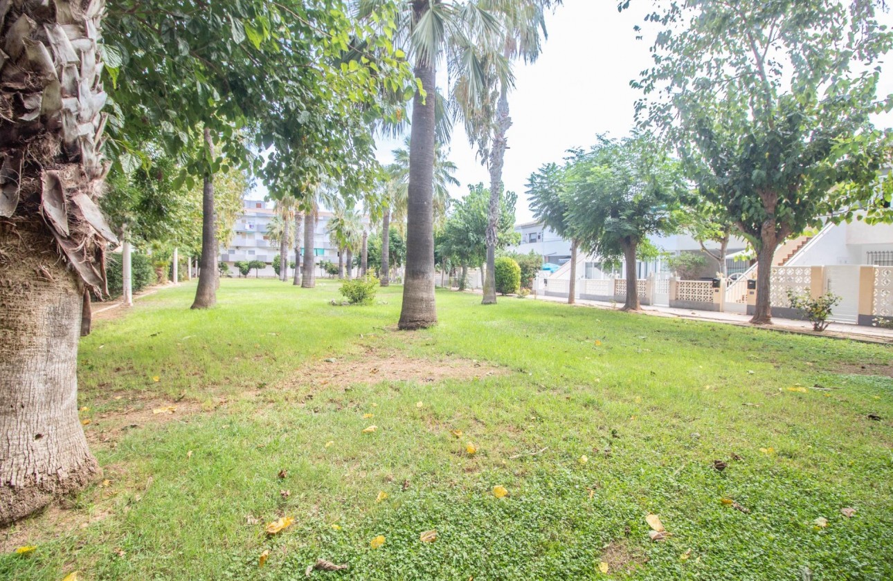 Reventa - Apartamento / piso - Orihuela Costa - La Regia