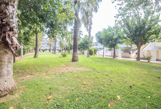 Reventa - Apartamento / piso - Orihuela Costa - La Regia