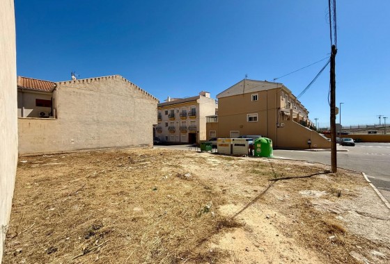 Revente - Plot - San Miguel de Salinas - CENTRO URBANO