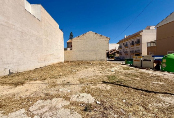 Revente - Plot - San Miguel de Salinas - CENTRO URBANO