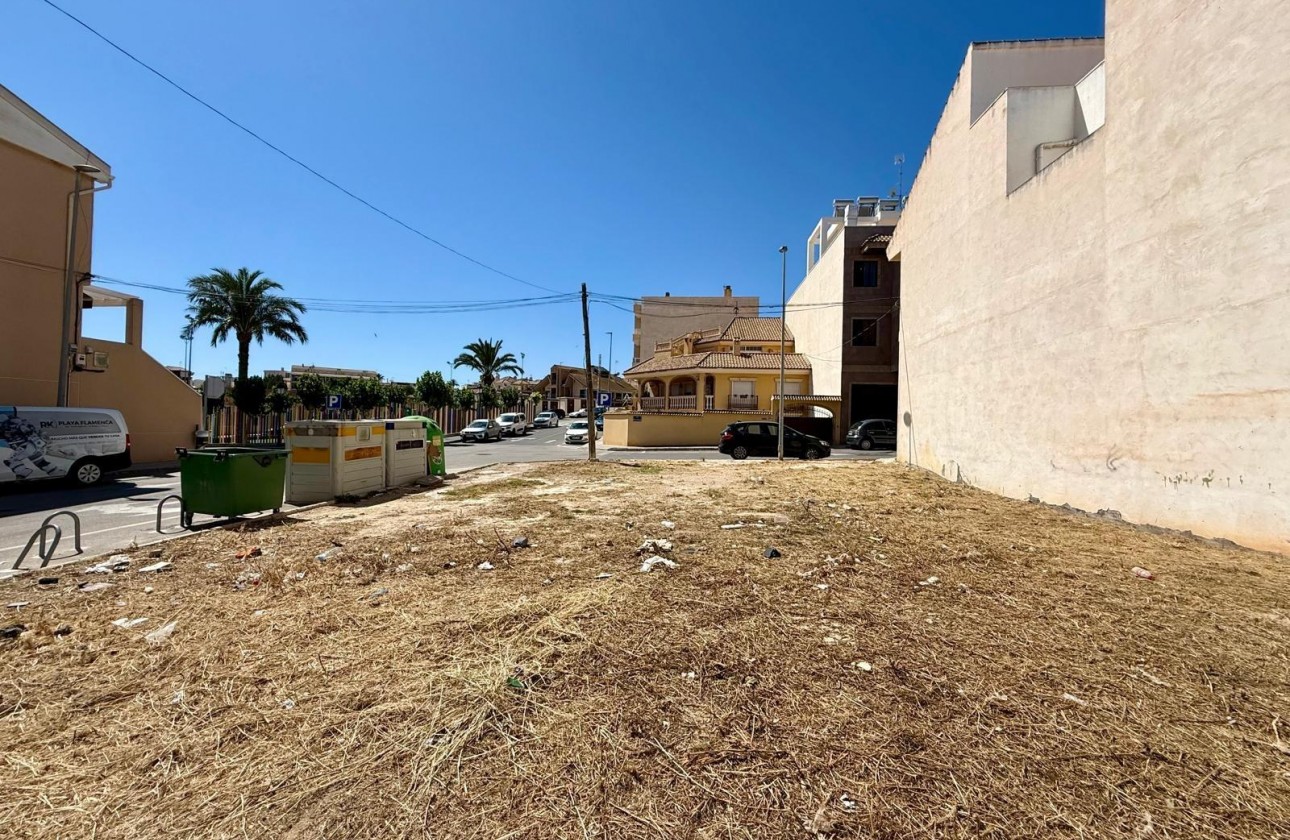 Revente - Plot - San Miguel de Salinas - CENTRO URBANO