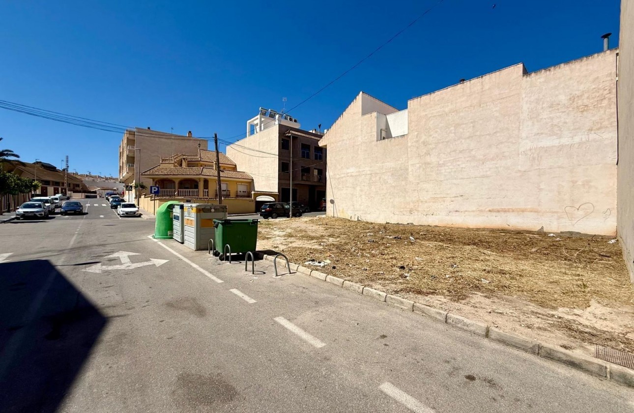 Revente - Plot - San Miguel de Salinas - CENTRO URBANO