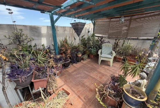 Resale - Apartment / flat - Villamartin