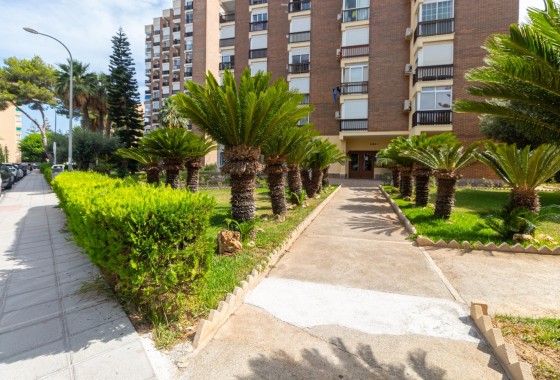 Revente - Appartement - Orihuela Costa - Campoamor