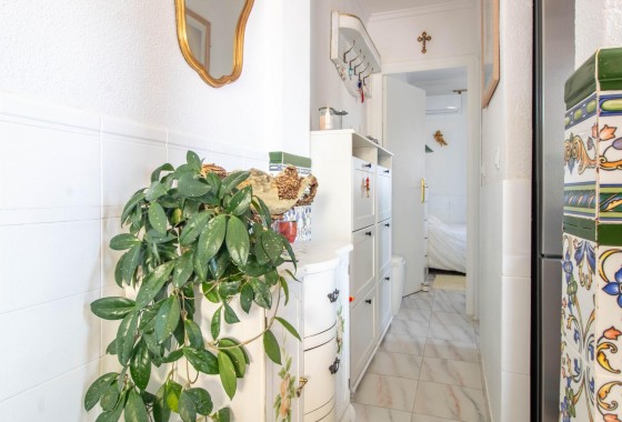 Revente - Bungalow - Torrevieja - Los Frutales