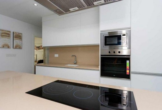 Nouvelle construction - Quad House - Daya Nueva - CENTRO