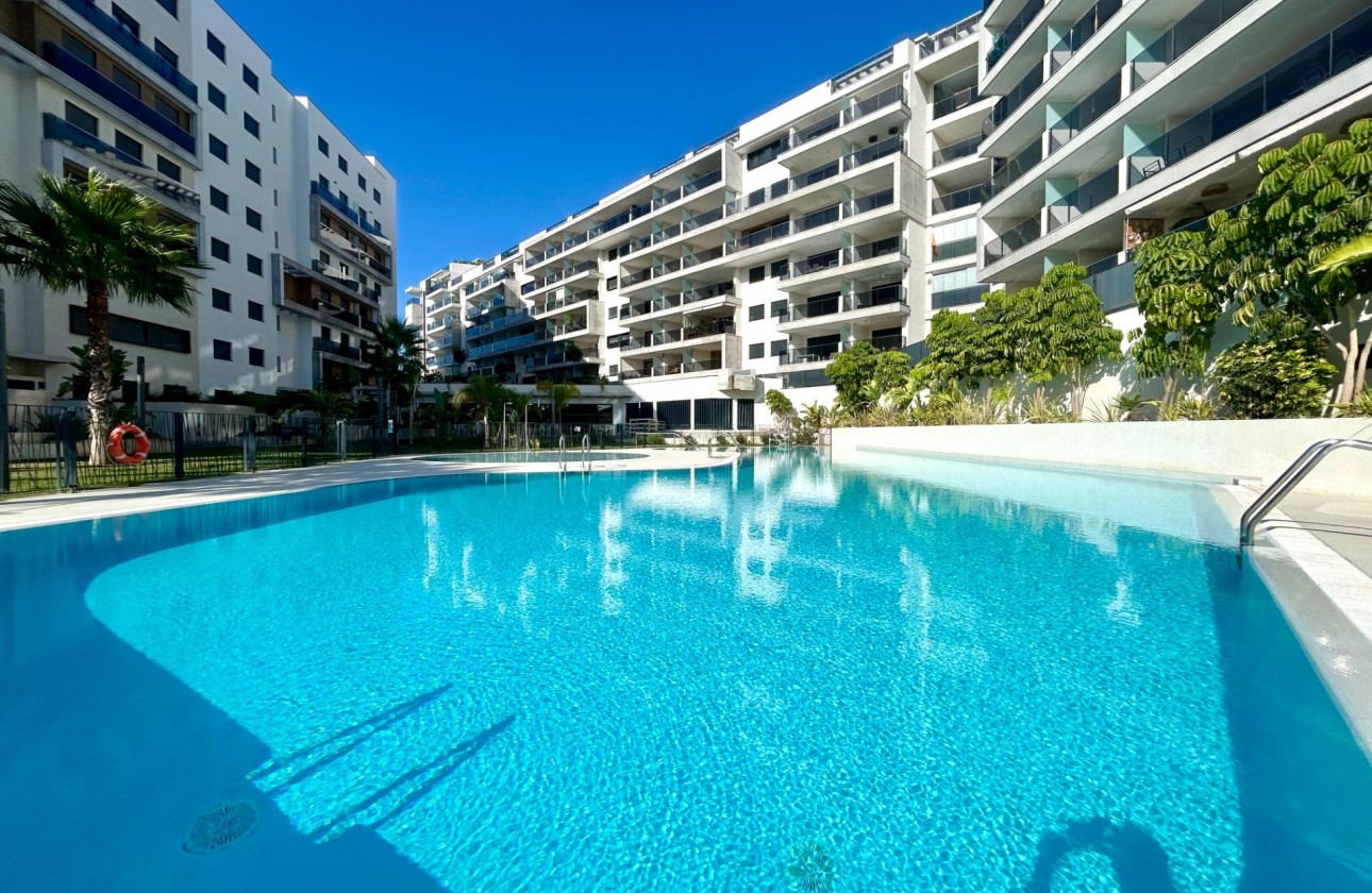 Reventa - Apartamento / piso - Dehesa de campoamor - Campoamor