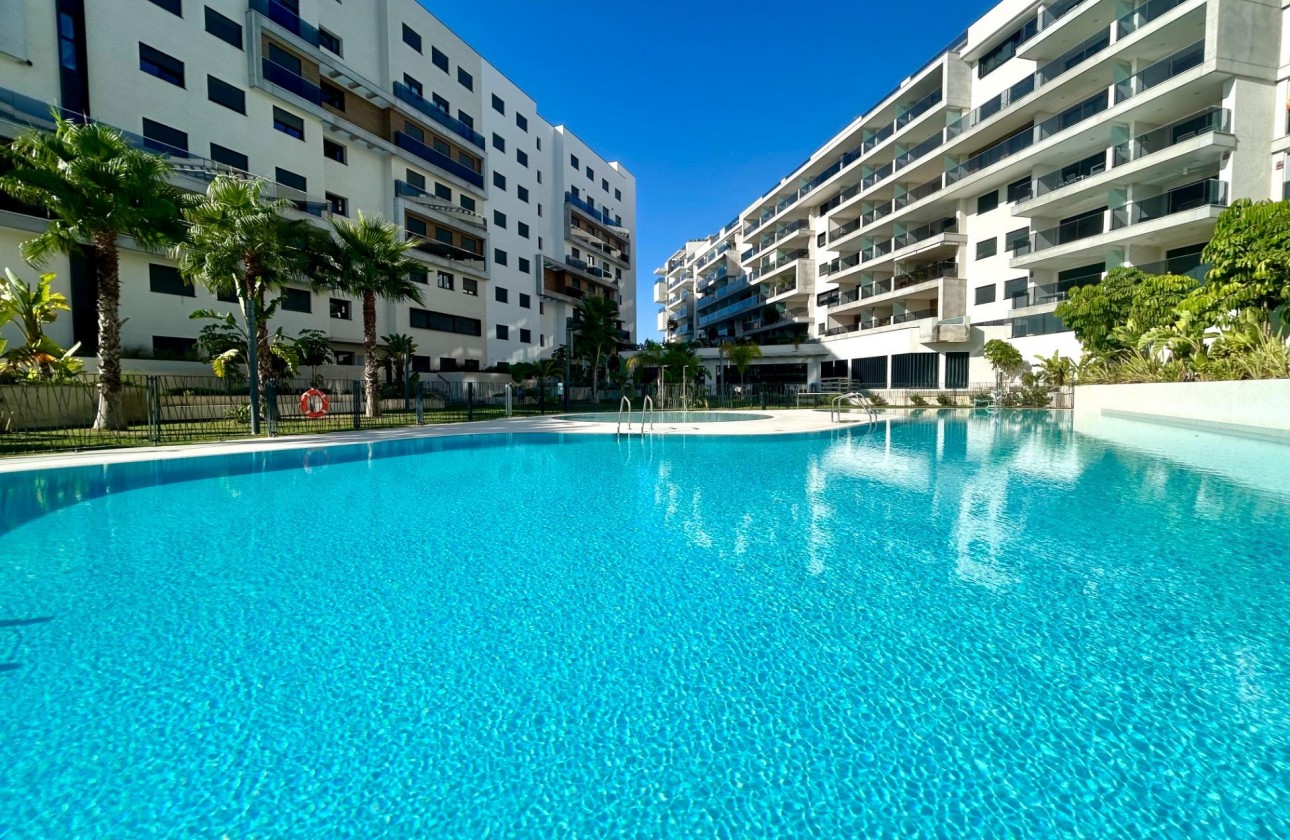 Reventa - Apartamento / piso - Dehesa de campoamor - Campoamor