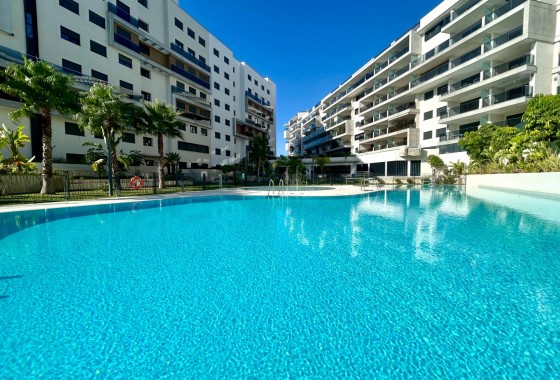 Reventa - Apartamento / piso - Dehesa de campoamor - Campoamor