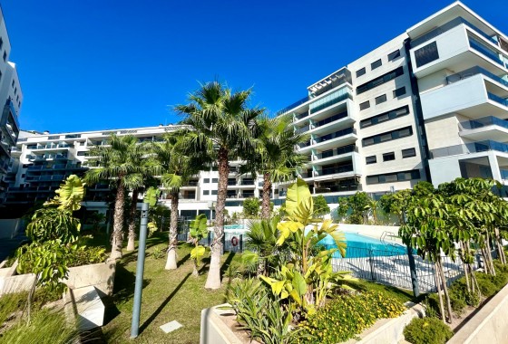 Reventa - Apartamento / piso - Dehesa de campoamor - Campoamor