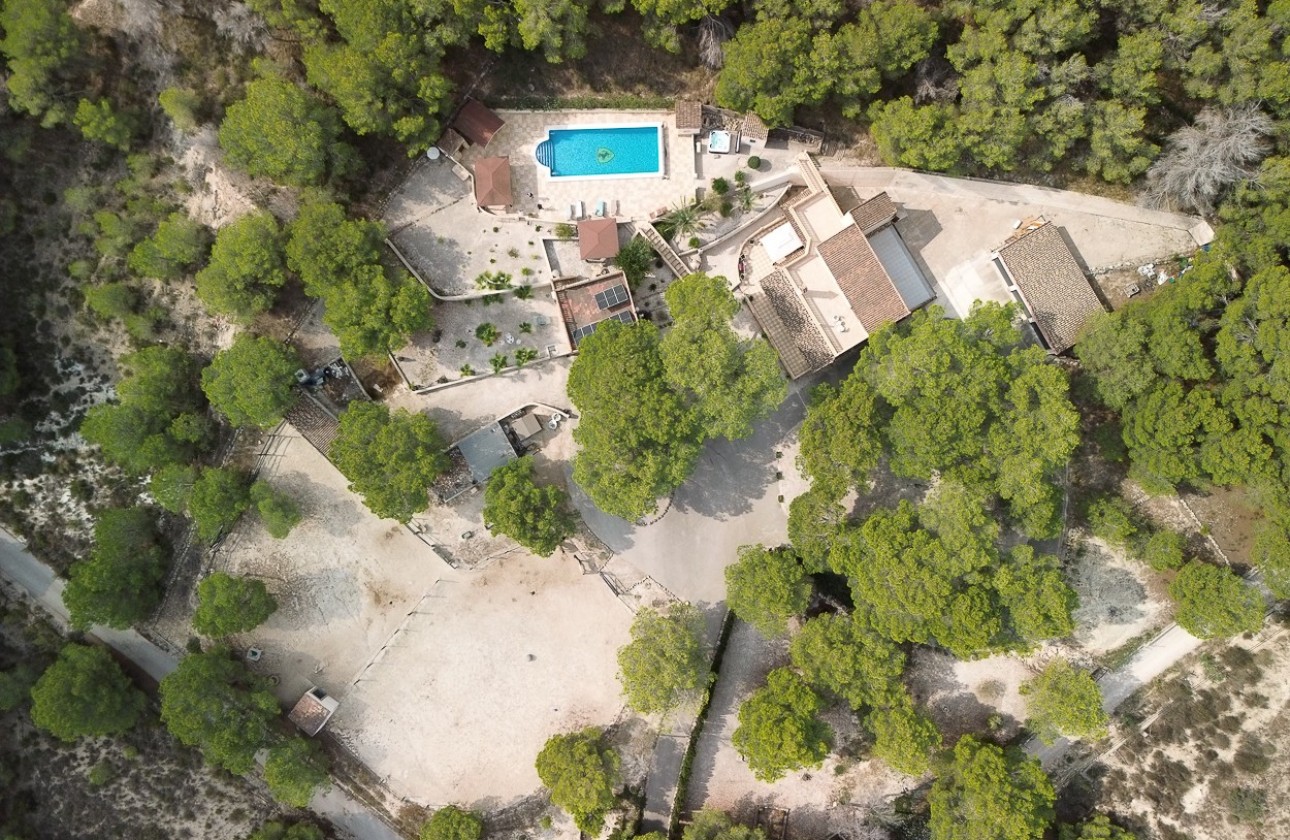 Revente - Country Property/Finca - Torremendo