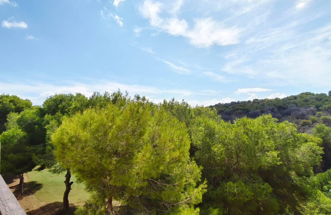 Revente - Appartement - Orihuela Costa - Las Ramblas Golf