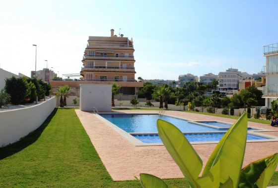 Reventa - Apartamento / piso - Villamartin - Costa Blanca