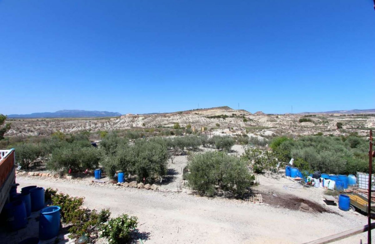 Revente - Villa - Albudeite - Inland