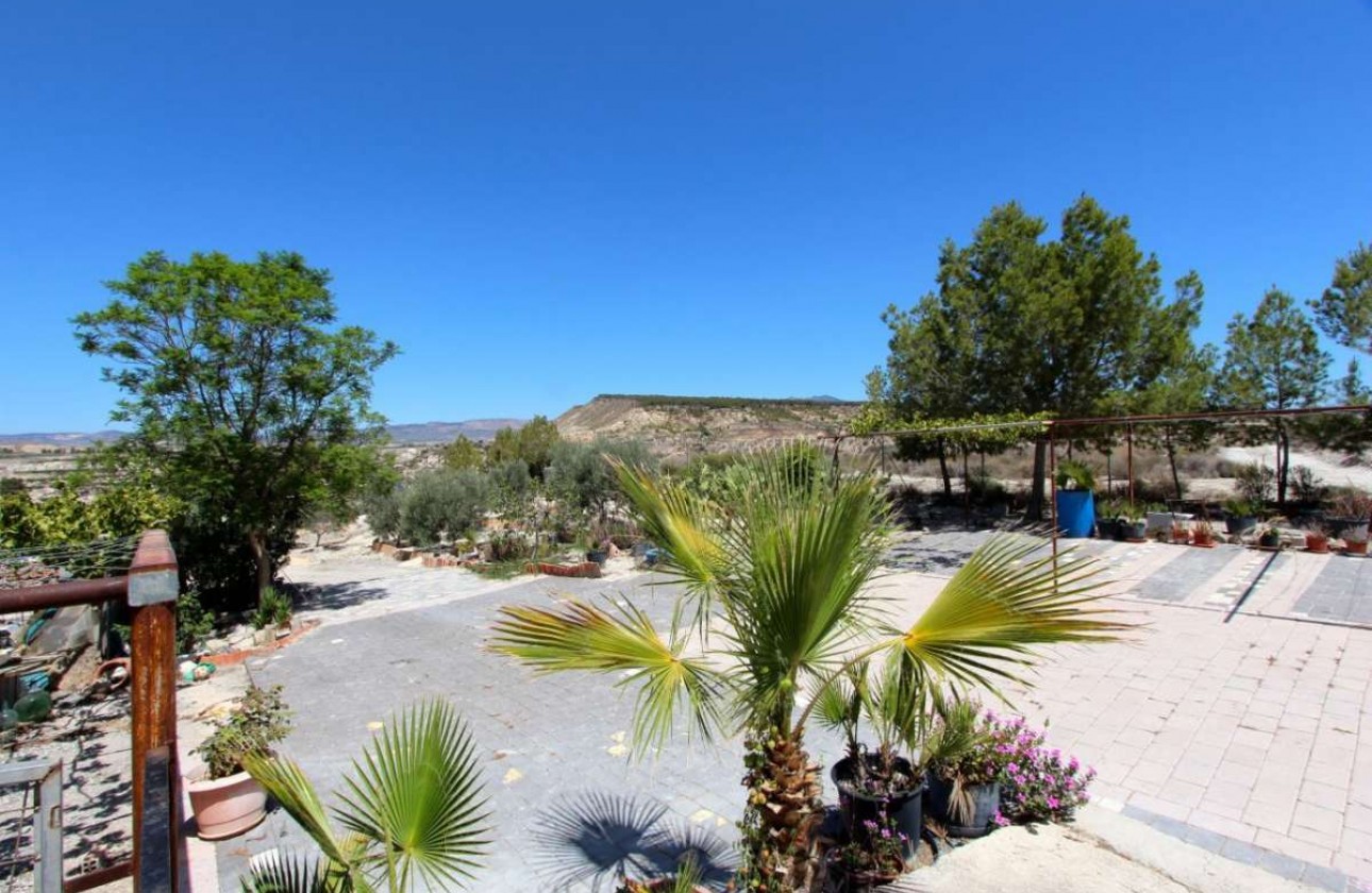 Revente - Villa - Albudeite - Inland