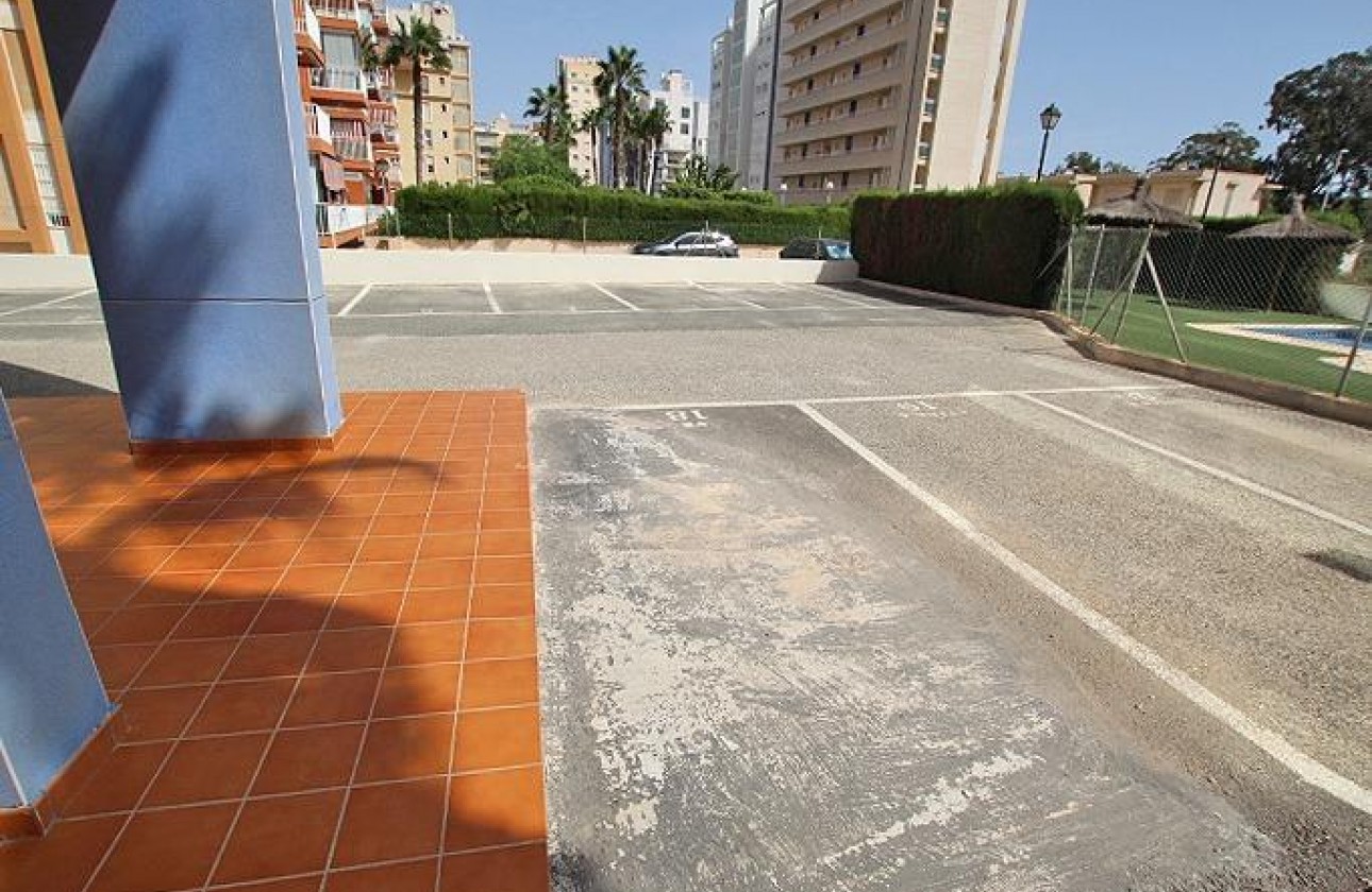 Resale - Apartment / flat - Guardamar del Segura - Avenida del Puerto