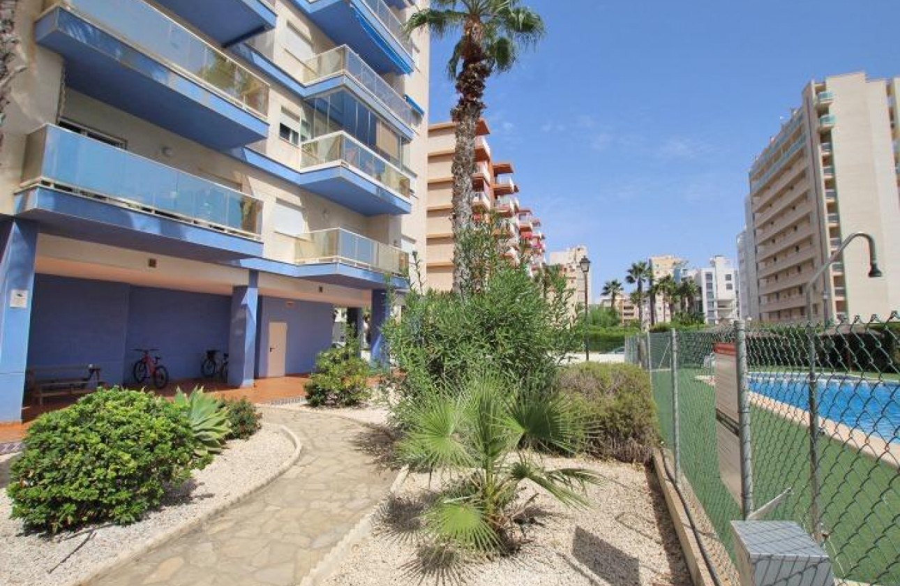 Resale - Apartment / flat - Guardamar del Segura - Avenida del Puerto