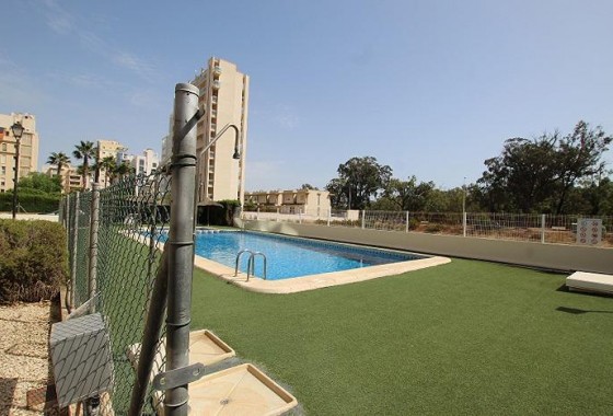 Resale - Apartment / flat - Guardamar del Segura - Avenida del Puerto