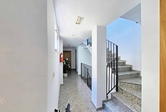 Reventa - Apartamento / piso - Lo Pagan - La Puntica