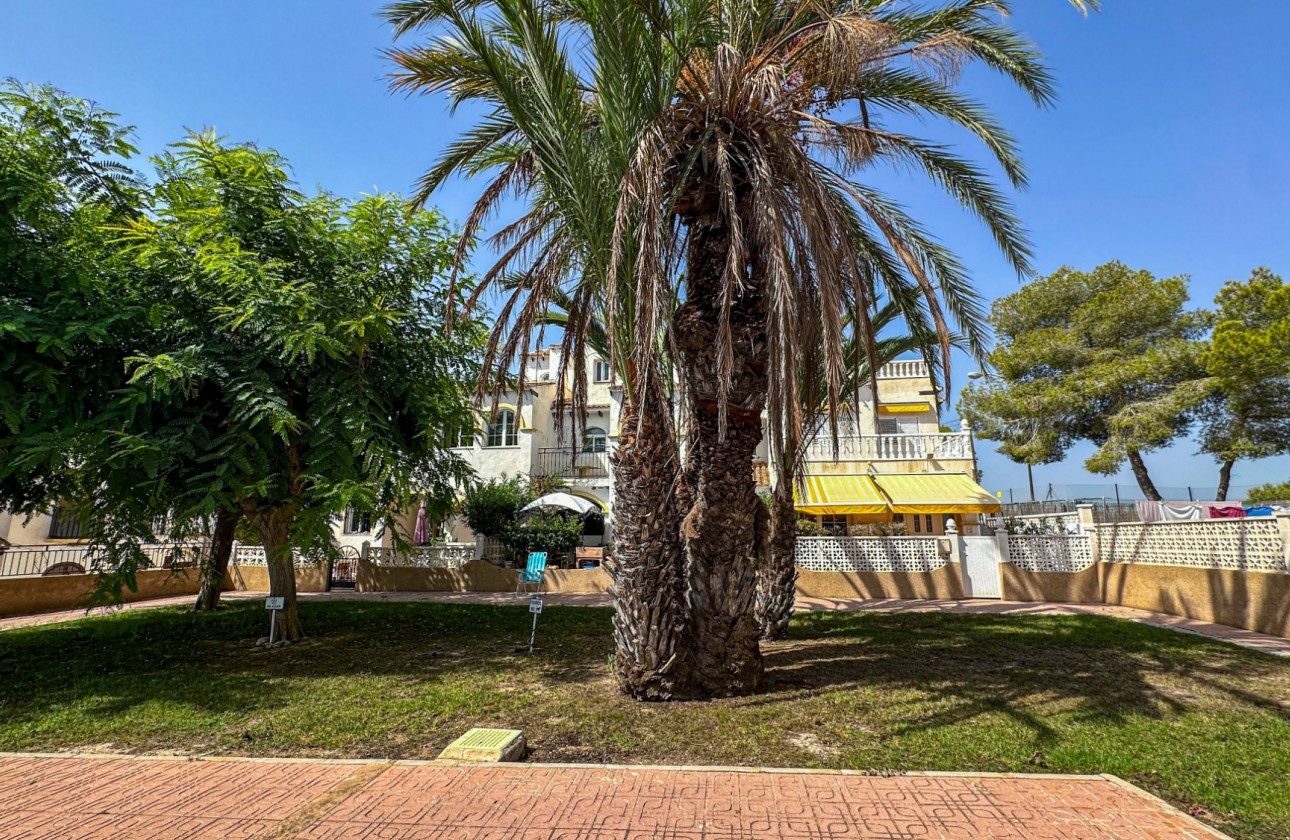 Resale - Bungalow - San Miguel de Salinas - Inland