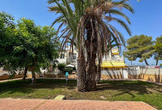 Resale - Bungalow - San Miguel de Salinas - Inland