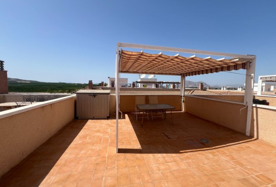 Revente - Appartement - Algorfa - Inland