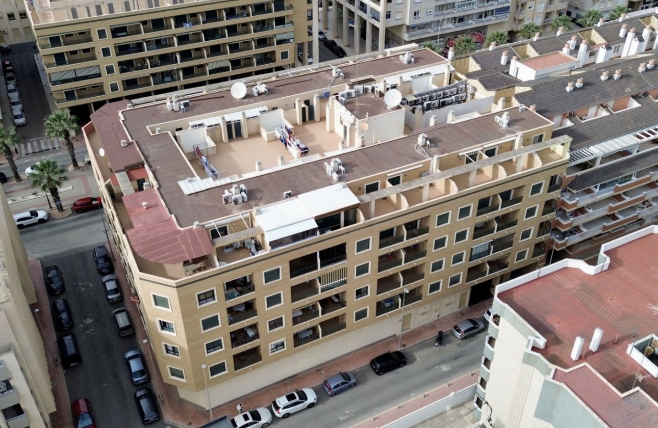 Resale - Apartment / flat - Guardamar del Segura - Costa Blanca