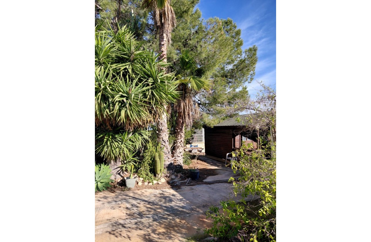 Reventa - Country house - Orihuela - Inland