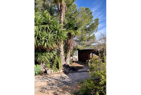 Reventa - Country house - Orihuela - Inland