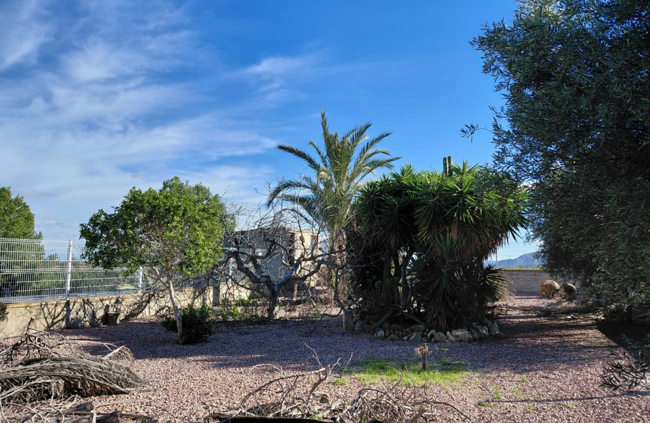 Reventa - Country house - Orihuela - Inland