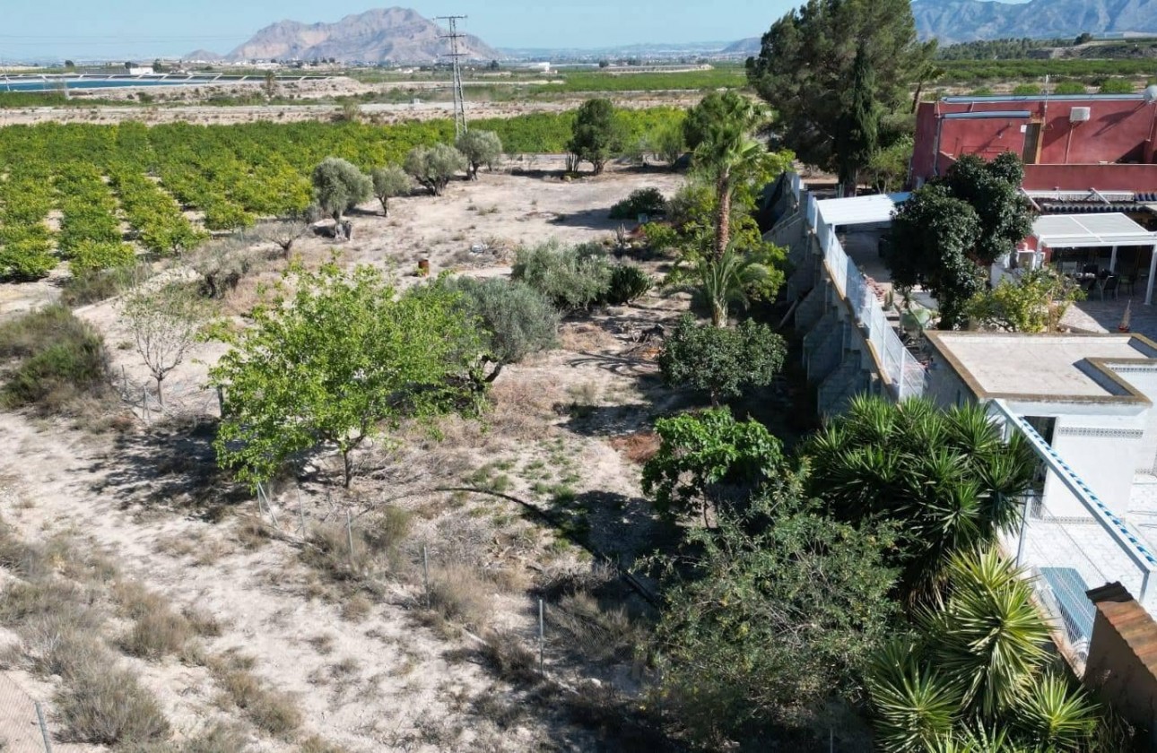 Reventa - Country house - Orihuela - Inland