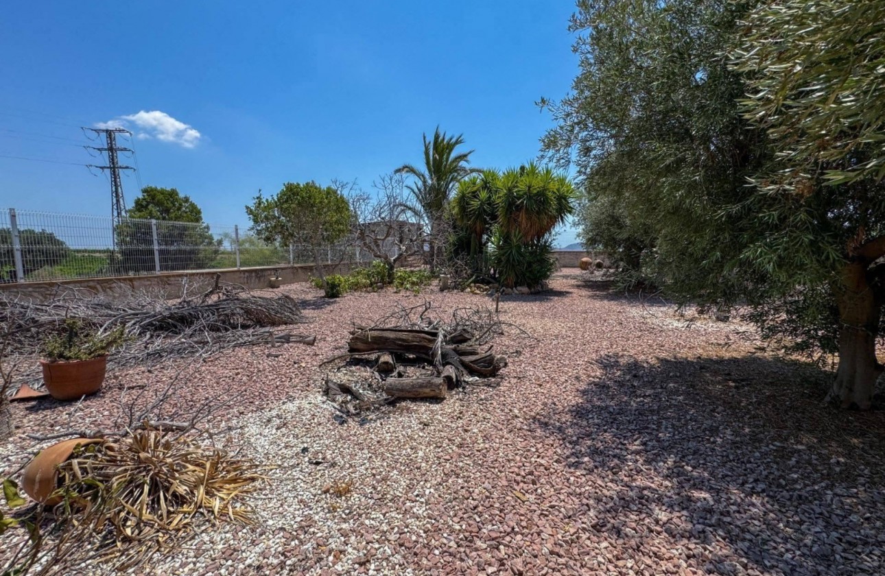Reventa - Country house - Orihuela - Inland