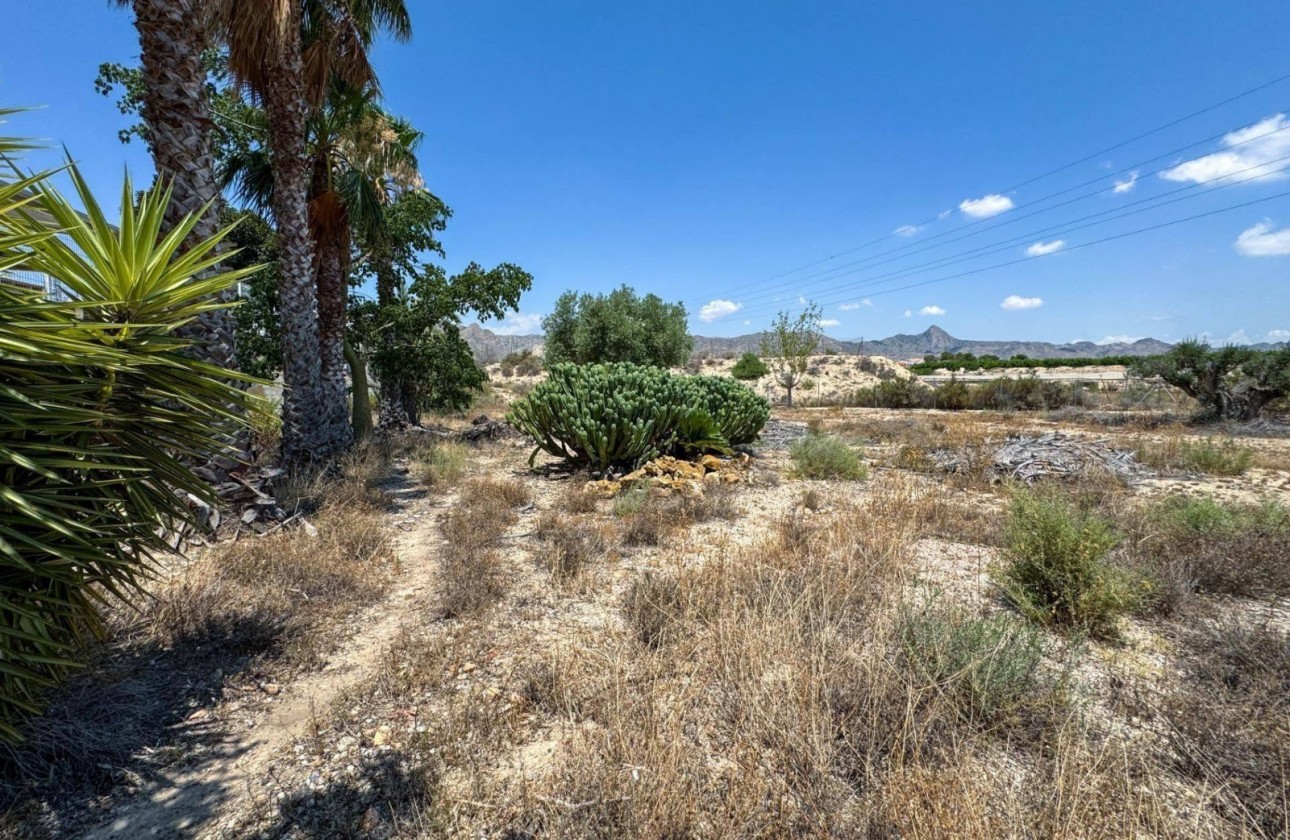 Reventa - Country house - Orihuela - Inland