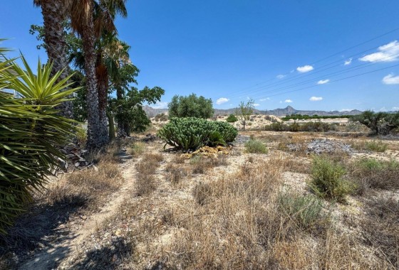 Reventa - Country house - Orihuela - Inland