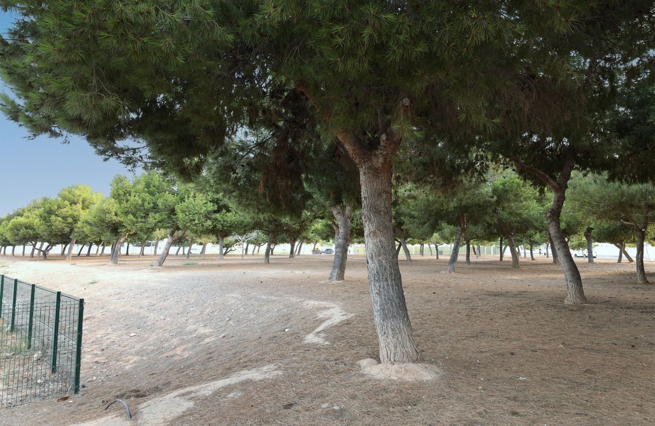 Revente - Bungalow - San Pedro del Pinatar - Costa Calida